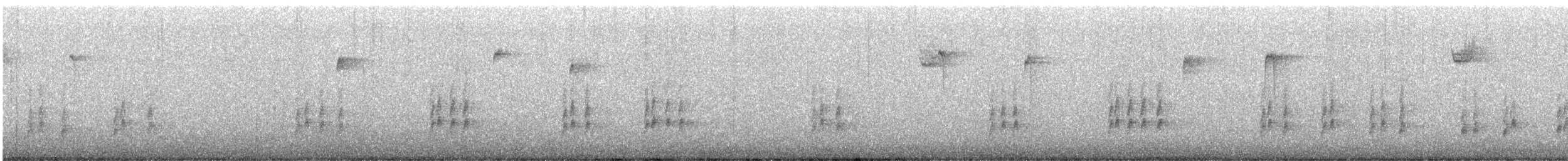 Поплітник каролінський - ML614410944
