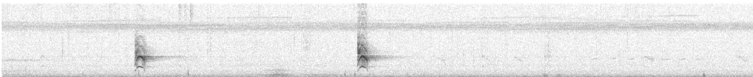 Méliphage flavescent - ML614412023