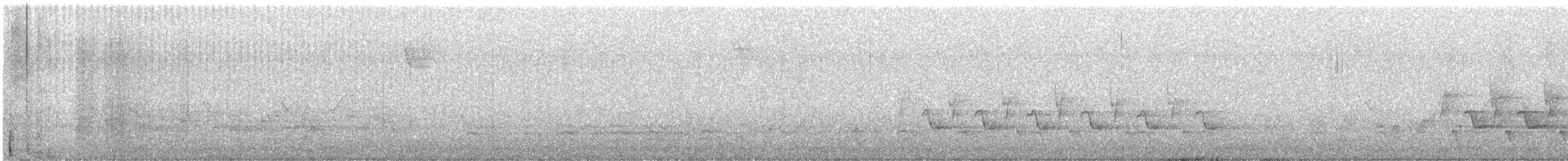 Каролинский крапивник - ML614414064