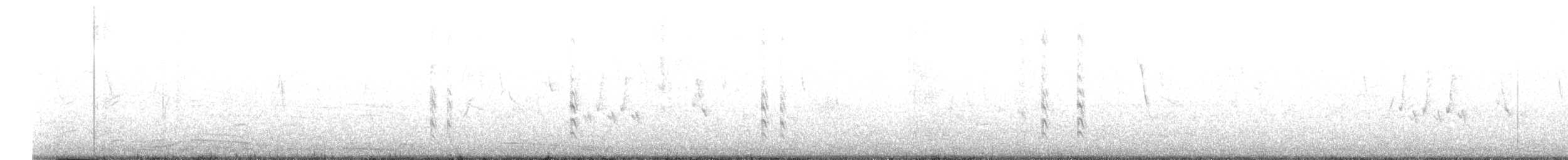 Neotropic Cormorant - ML614418415