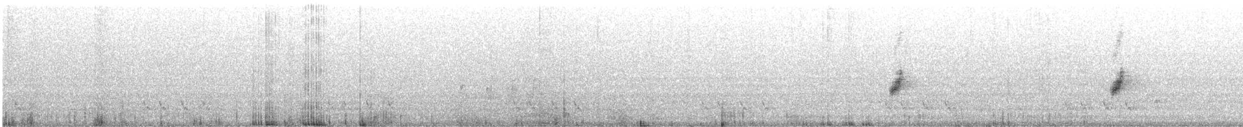 クロオビミツスイ - ML614428792