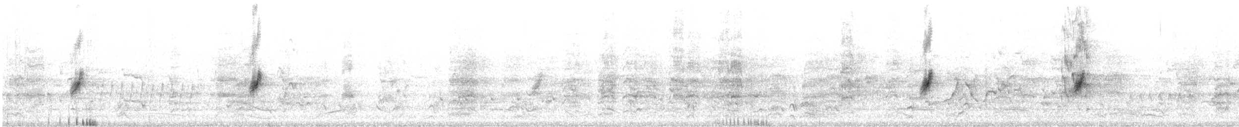 クロオビミツスイ - ML614429897