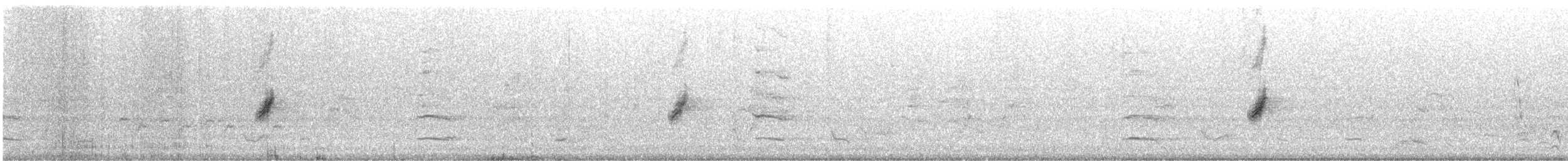 クロオビミツスイ - ML614429899