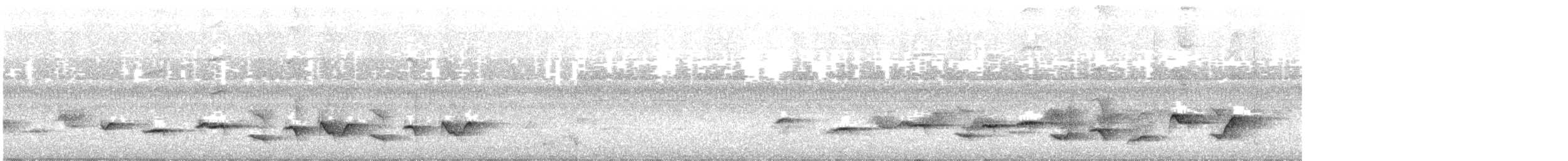 Gri Islıkçı (simplex/brunnescens) - ML614430101