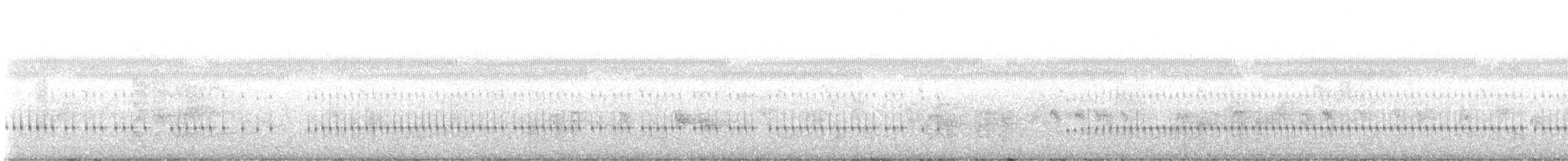 râle ou marouette sp. - ML614430104