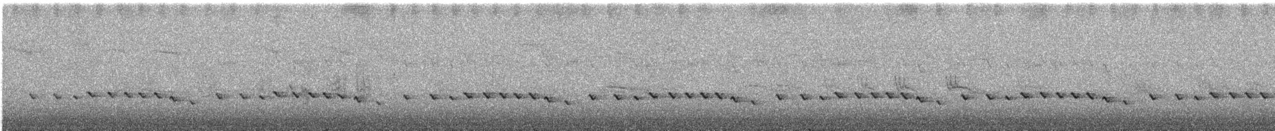 Gérygone des Chatham - ML614430761