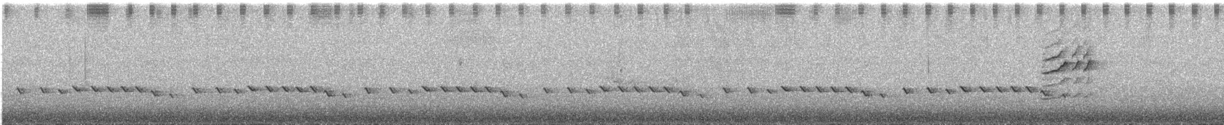 Gérygone des Chatham - ML614430799