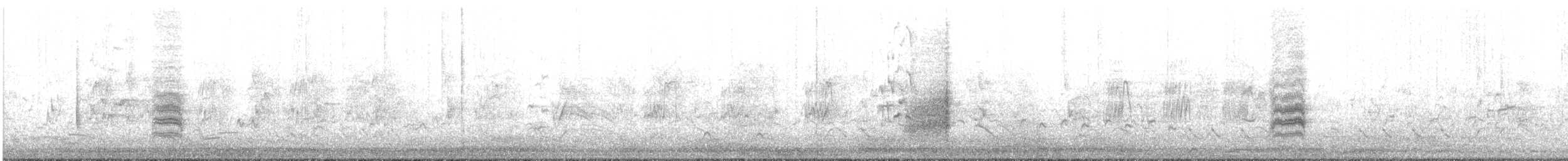 Bar-breasted Honeyeater - ML614431026