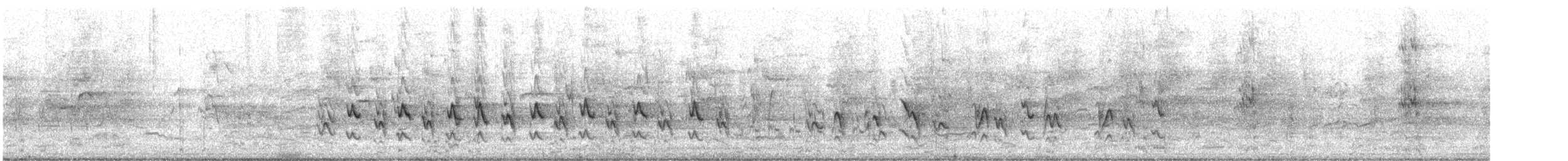 Bar-breasted Honeyeater - ML614431819