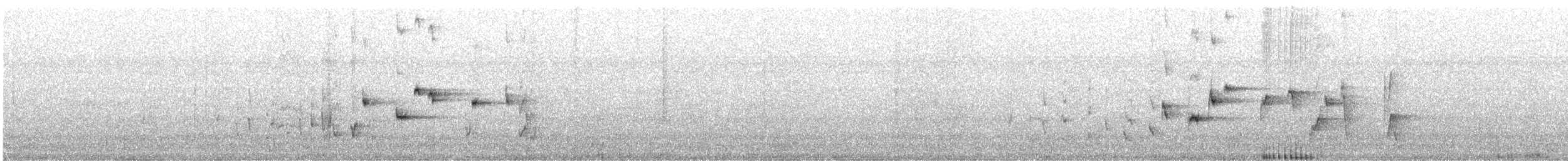Чёрно-белая веерохвостка - ML614432326