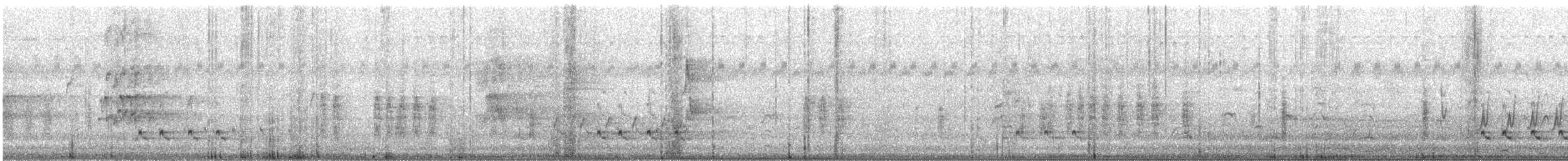 Streifenpanthervogel - ML614436150