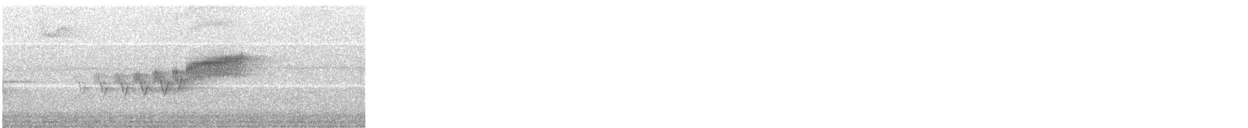 Cerulean Warbler - ML61443631