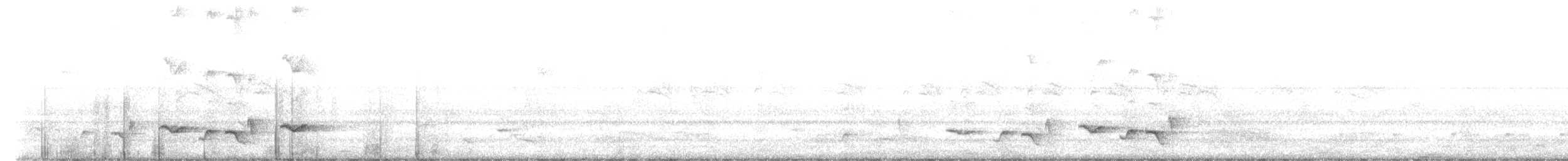 hvitbryntrosteskvett - ML614438864