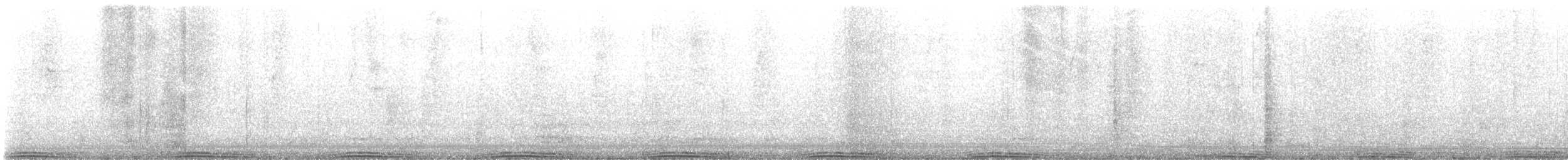 holub skalní (domácí) - ML614441624