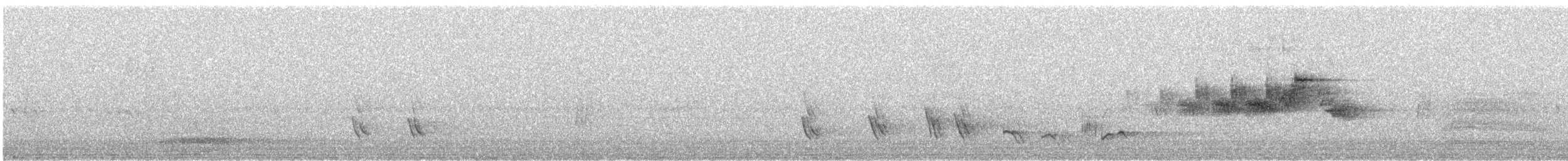 Black-throated Gray Warbler - ML614441677