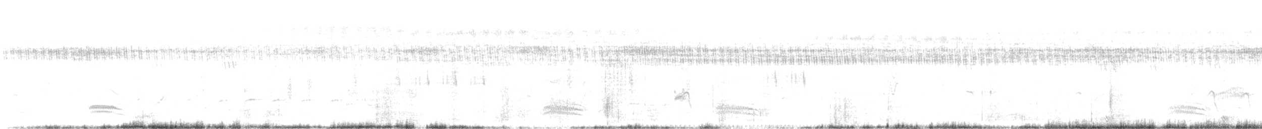אנפית סוף הודית - ML614442106