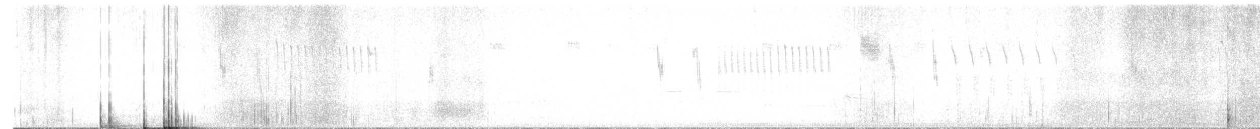 Troglodyte à bec court - ML614444116