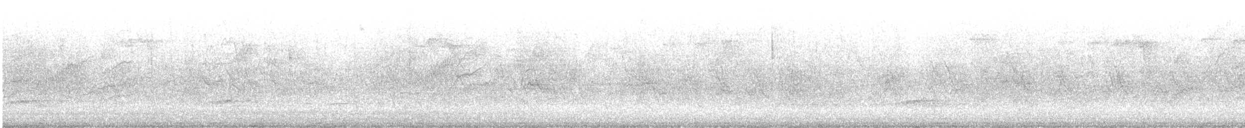 Çam İsketesi (pinus/macropterus) - ML614445531
