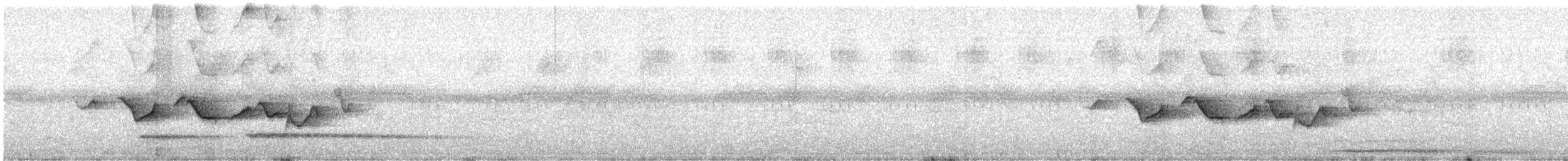 Tinamou à petit bec - ML614451567