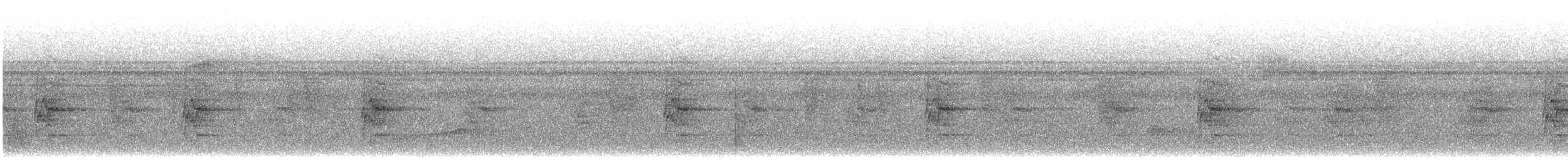 Зелёный колибри-отшельник - ML614456425
