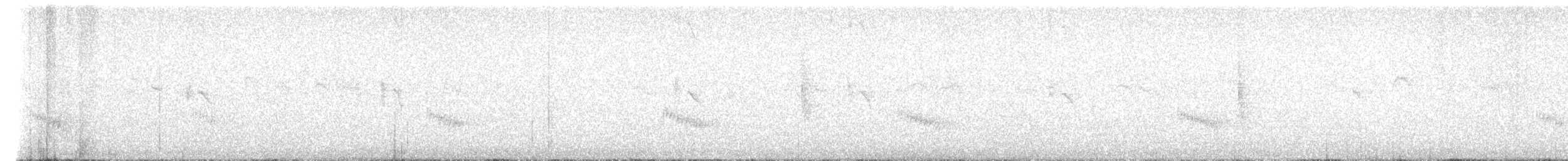 Поплітник каролінський - ML614458514