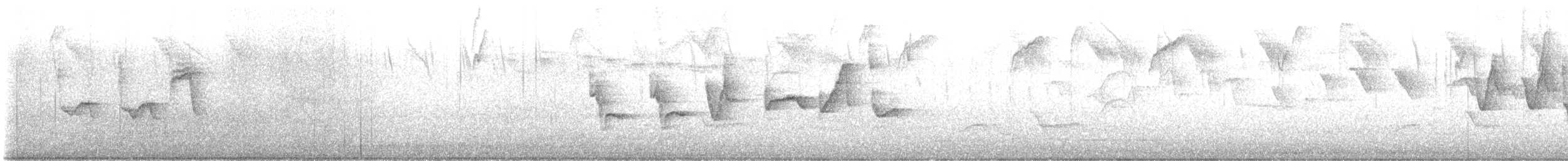 Tohi à nuque claire - ML614459799