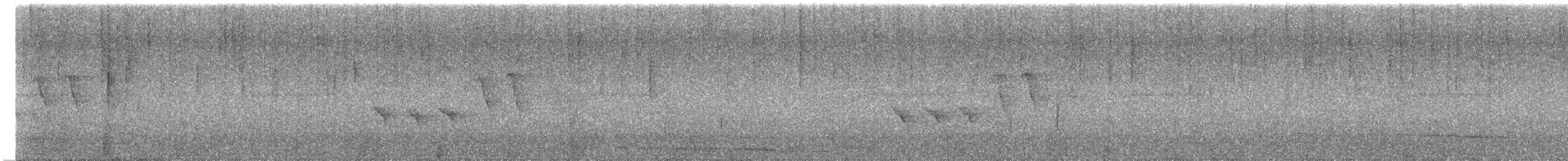Филиппинский дронго (mirabilis) - ML614469129