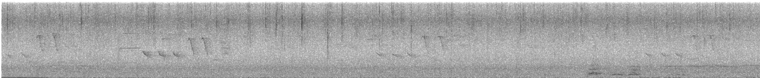 Филиппинский дронго (mirabilis) - ML614469130