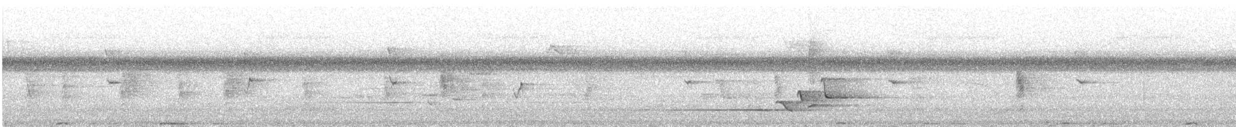 holub bělolící - ML614470102