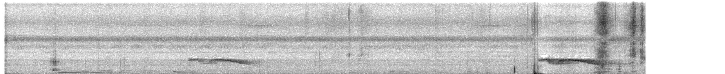 Great Eared-Nightjar - ML614471017