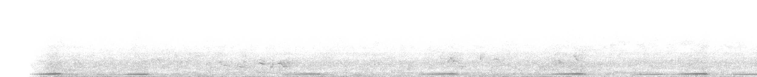 holub zelenokřídlý - ML614476441