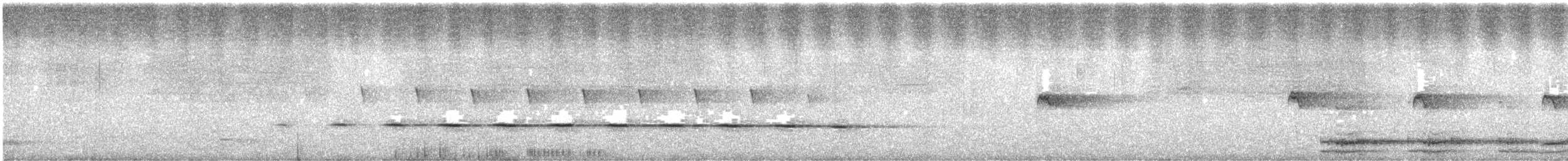 Spotted Quail-thrush - ML614477761