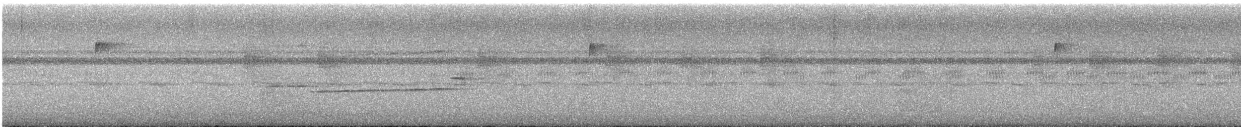 Глазчатая гологлазка - ML614480354