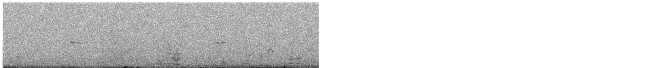 Dwarf Tinamou - ML61448071
