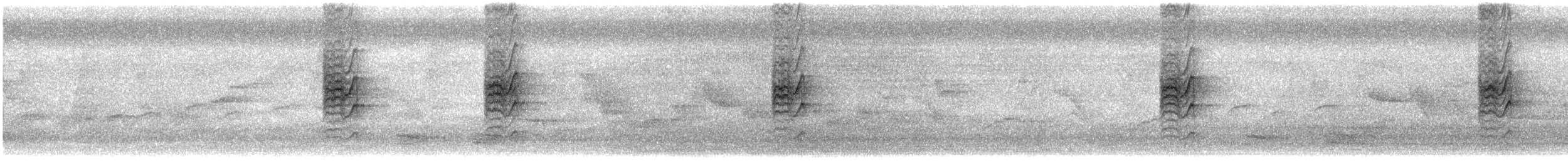 Длинноклювая нектарница - ML614481417