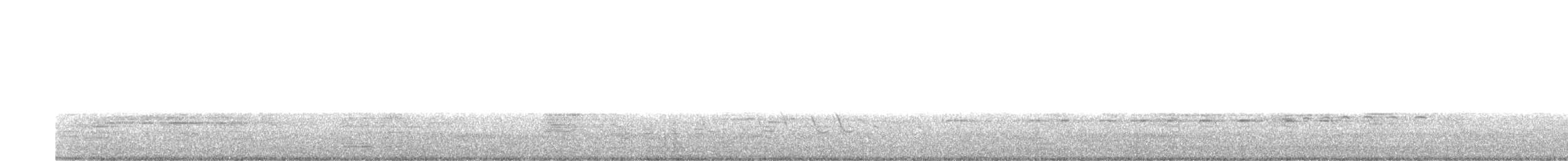 Weißbart-Seeschwalbe - ML614482887