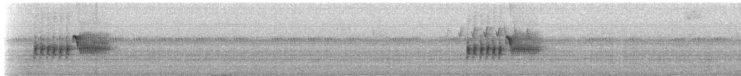 Тауї плямистий - ML614484976