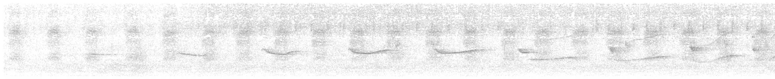 Buco Rayado (striata) - ML614488868