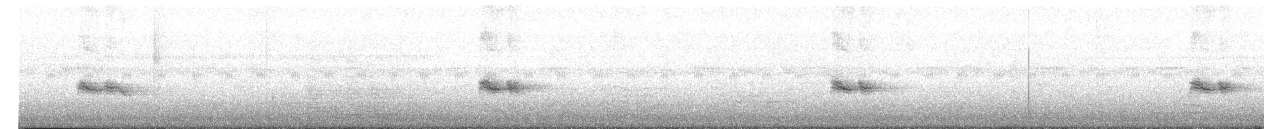 Paruline à calotte grise - ML614489243