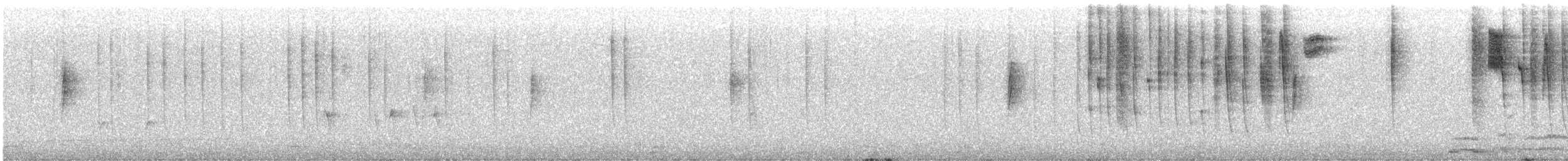 Ak Kulaklı Kolibri - ML614489497