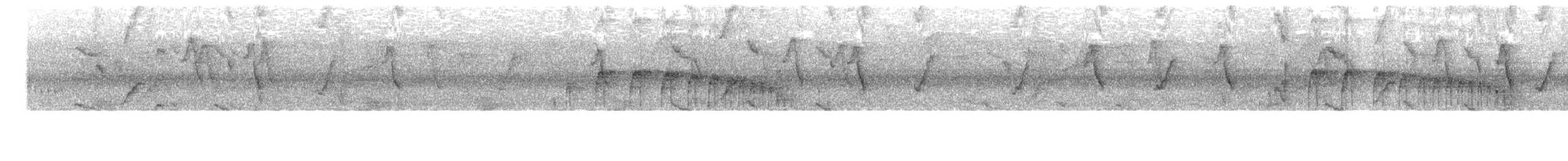 Пестрогорлый колибри-отшельник - ML614490153