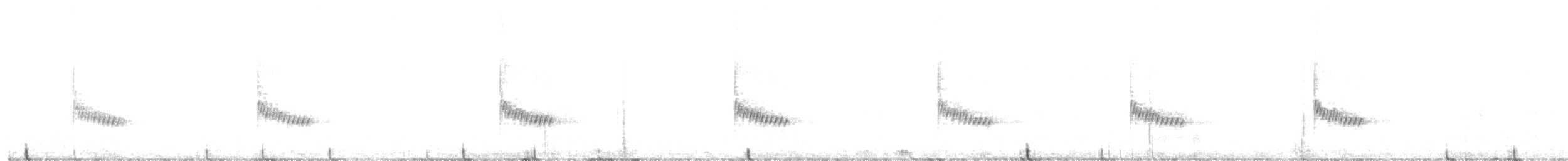 Каролинский крапивник - ML614493331
