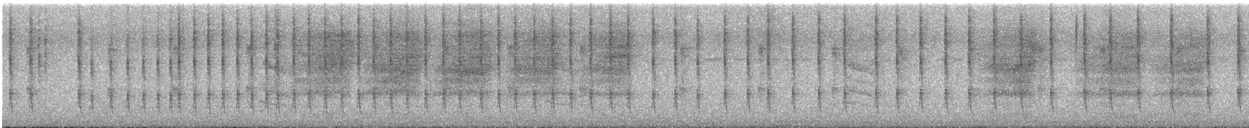 Blaukron-Degenflügel (Yucatándegenflügel) - ML614503396