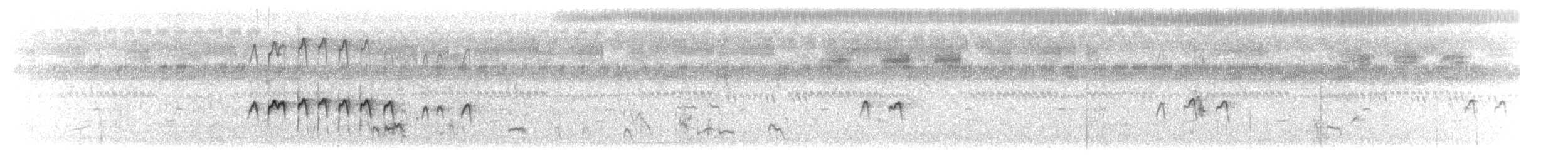 太平洋金斑鴴 - ML614506773