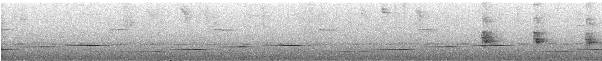 Kestane Göğüslü Çıtkuşu - ML614511367