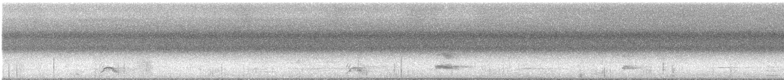 Spotless Crake - ML614515160