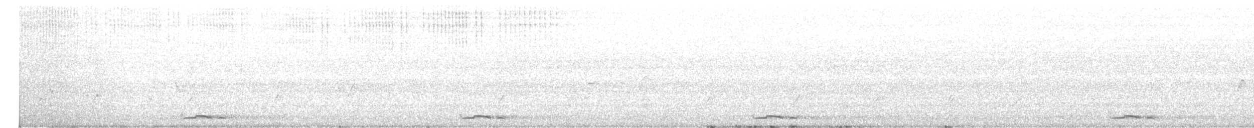 holoubek proužkokrký - ML614515636