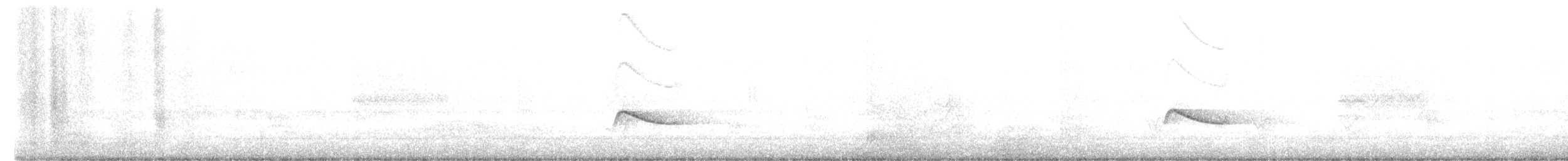 チャイロツキヒメハエトリ - ML614521356