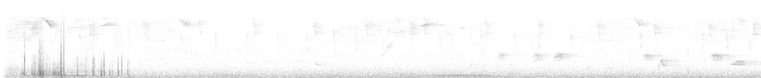 holub pruholící - ML614525732