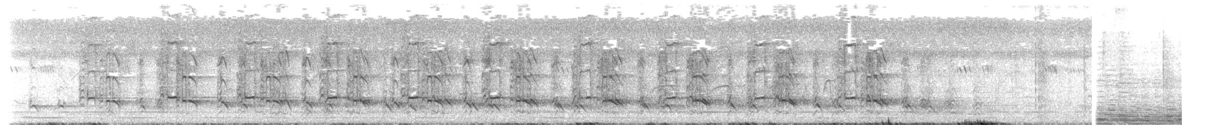 シマシャコ - ML614526001